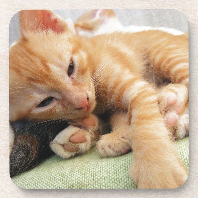 Posavasos Cute Tiger Stripe Kitten (Frente)