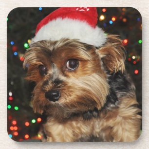 Posavasos Cute Yorkie con Santa Hat