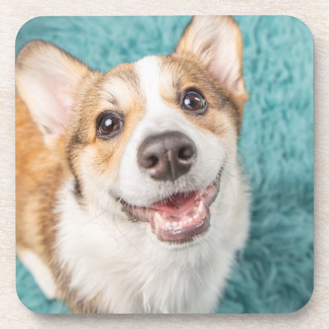 Posavasos Cutest Baby Animals | Cute Corgi Puppy Smile (Frente)