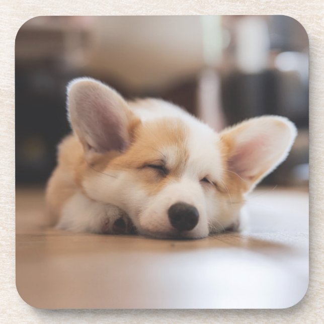 Posavasos Cutest Baby Animals | Sleepy Corgi (Frente)