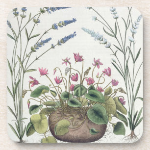 Posavasos Cyclamen y lavanda: 1.Cyclamen Romanum; 2.Spica