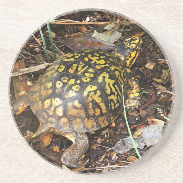 Posavasos CZ prácticos de costa de la tortuga de caja (Frente)