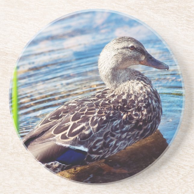 Posavasos Dabbling Ripples (Frente)