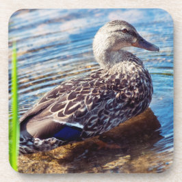 Posavasos Dabbling Ripples