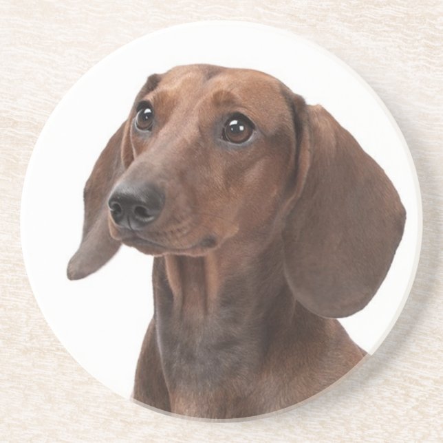 Posavasos Dachshund Coaster (Frente)