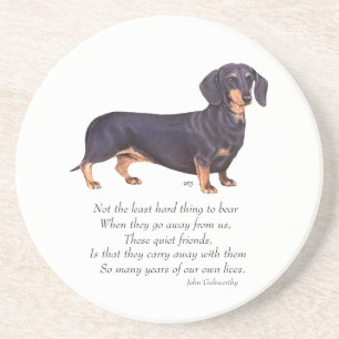 Posavasos Dachshund Puente del Arcoíris