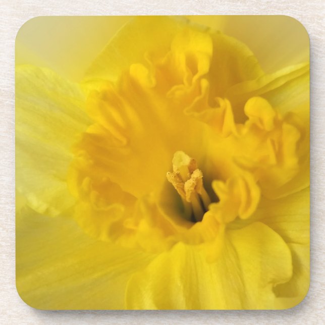 Posavasos daffodil amarillo (Frente)