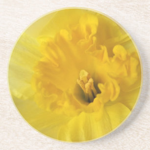 Posavasos daffodil amarillo