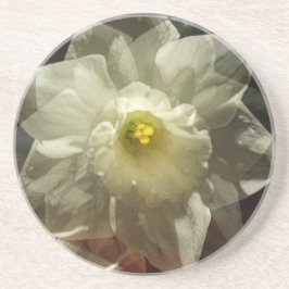 Posavasos Daffodil Dreams