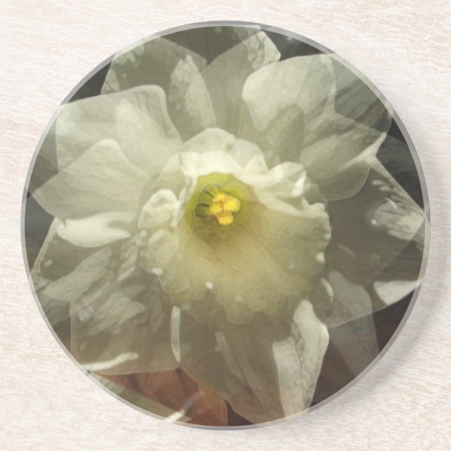 Posavasos Daffodil Dreams (Frente)