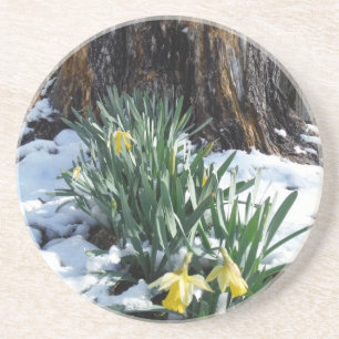 Posavasos Dafpies amarillos en la nieve