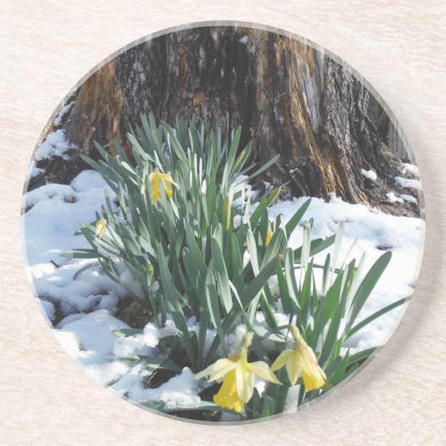 Posavasos Dafpies amarillos en la nieve (Frente)