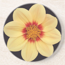 Posavasos Dahlia amarilla en flor negra