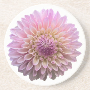 Posavasos Dahlia Coralie, flor rosa