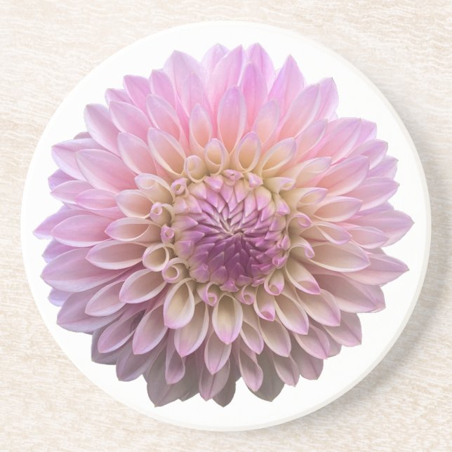 Posavasos Dahlia Coralie, flor rosa (Frente)