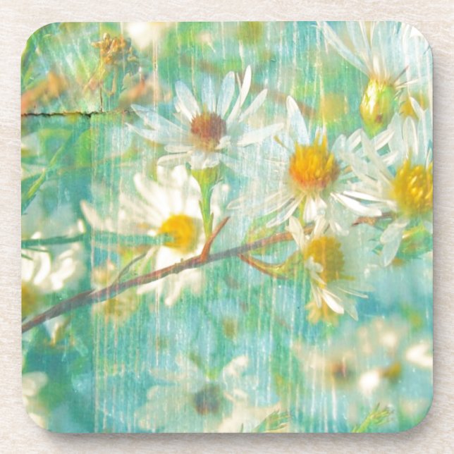 Posavasos Daisies (Frente)