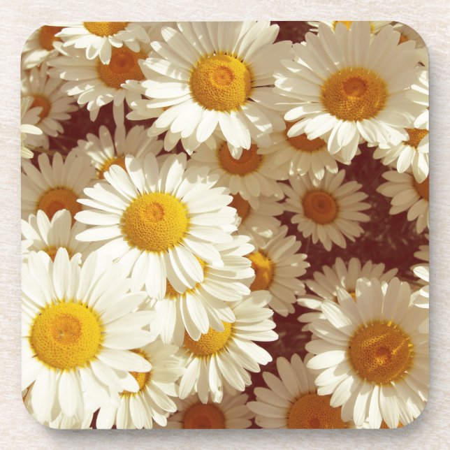 Posavasos Daisies vintage (Frente)