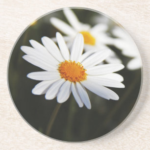 Posavasos Daisy