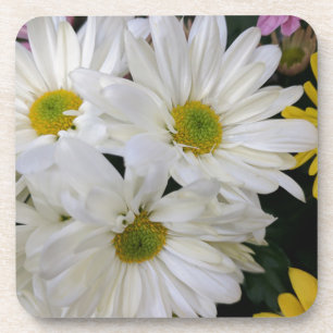 Posavasos Daisy