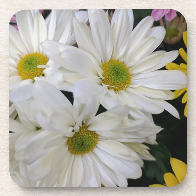 Posavasos Daisy (Frente)