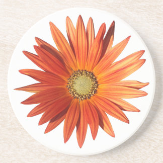 Posavasos Daisy africano