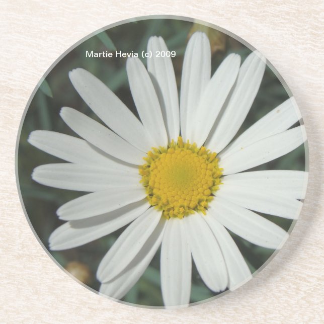 Posavasos Daisy blanco - Pascua (Frente)