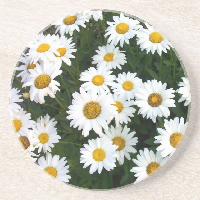 Posavasos Daisy Bouquet Coaster (Frente)