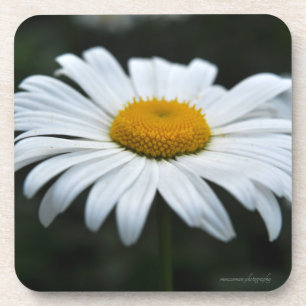 Posavasos Daisy - Cara arriba