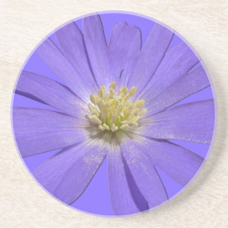 Posavasos Daisy Coasters Wildflower Decoración y regalos