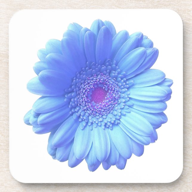Posavasos Daisy gerbera azul (Frente)