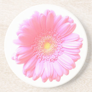 Posavasos Daisy gerbera rosa claro