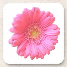 Posavasos Daisy gerbera rosada