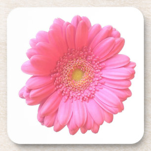 Posavasos Daisy gerbera rosada
