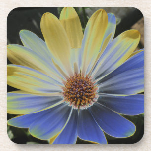 Posavasos Daisy Lapis africano y la montaña rusa del corcho