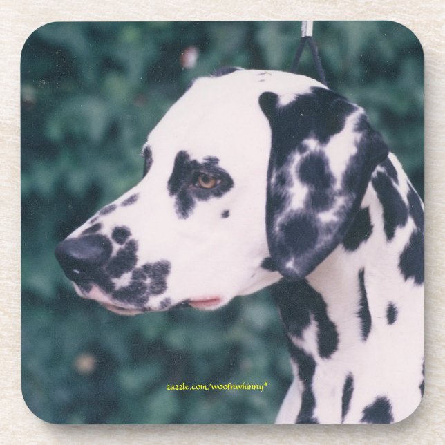 Posavasos Dalmatian Headstudy (Frente)