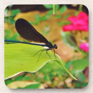 Posavasos Damselfly y Rosa