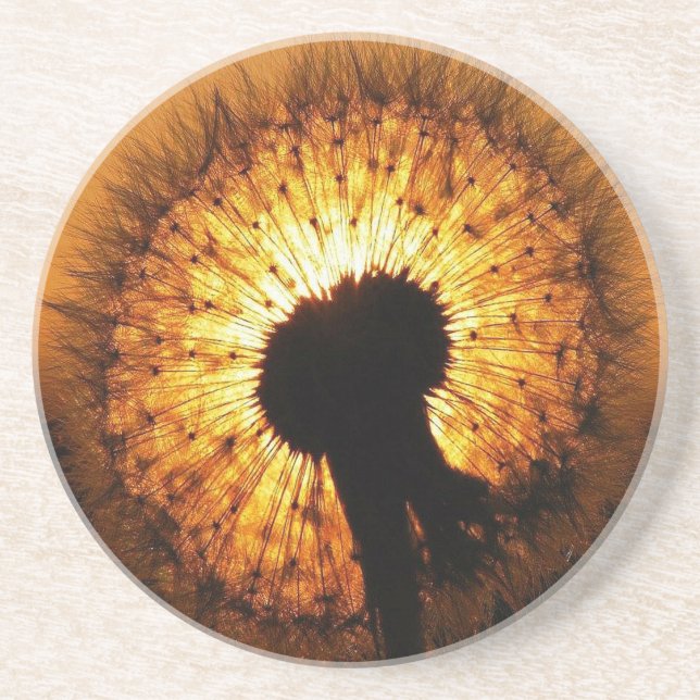 Posavasos Dandelion al atardecer (Frente)
