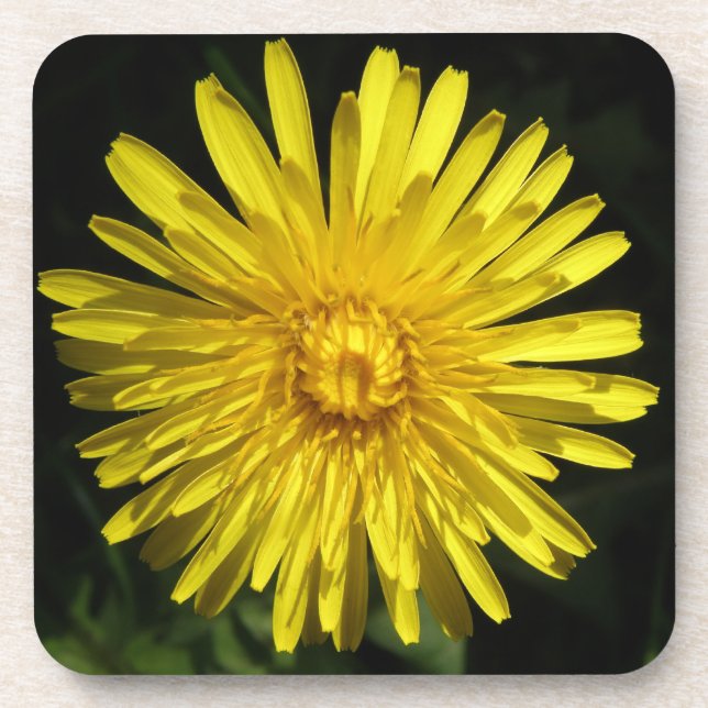 Posavasos Dandelion Cork Coaster (Frente)