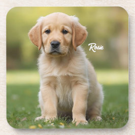 Posavasos Darling Golden Retriever Personalized Coaster Set
