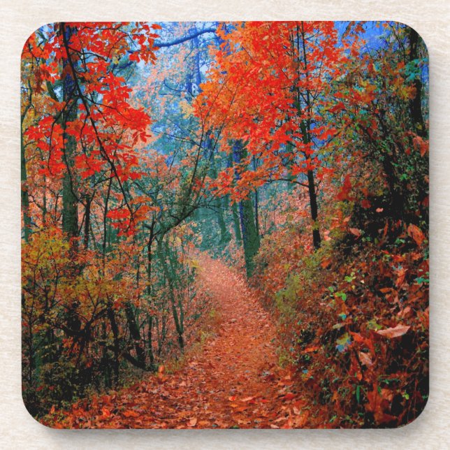 Posavasos de Acuarela Bosque Pintado Llama de Otoñ (Frente)