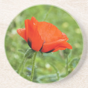 Posavasos de amapola