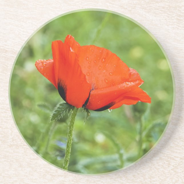 Posavasos de amapola (Frente)