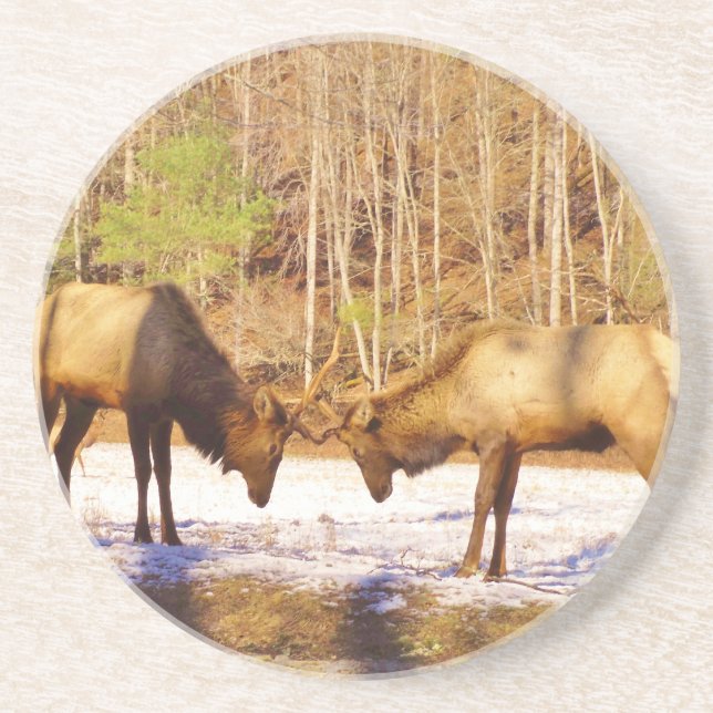 Posavasos De Arenisca 2~ dos toros en la nieve (Frente)