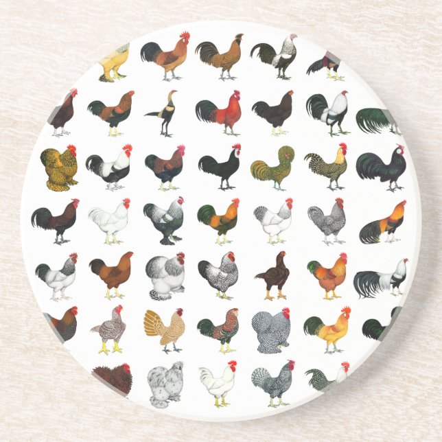 Posavasos De Arenisca 49 Galerías (Frente)