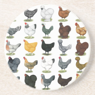 Posavasos De Arenisca 49 gallinas del pollo