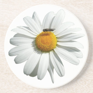 Posavasos De Arenisca Abeja por la foto natural de Daisy Alaskan