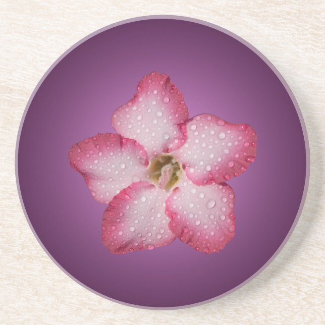 Posavasos De Arenisca Adenium Flor de Pink Flora Gradiente Violeta (Frente)
