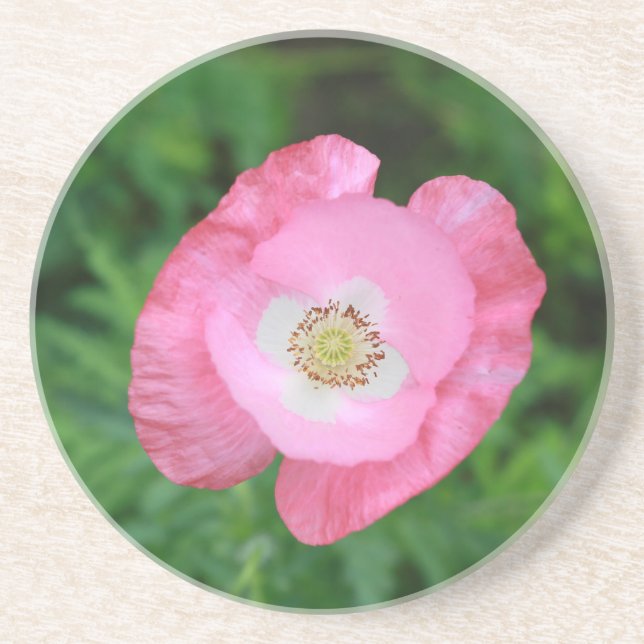 Posavasos De Arenisca Adormidera rosa (Frente)