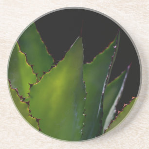 Posavasos De Arenisca Agave glow