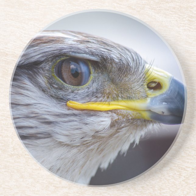 Posavasos De Arenisca Águila (Frente)